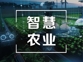 氣體傳感器在智慧農(nóng)業(yè)中的創(chuàng)新應(yīng)用