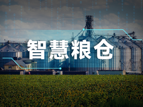 實時監(jiān)測+智能預(yù)警！松柏傳感氣體傳感器助力綠色儲糧